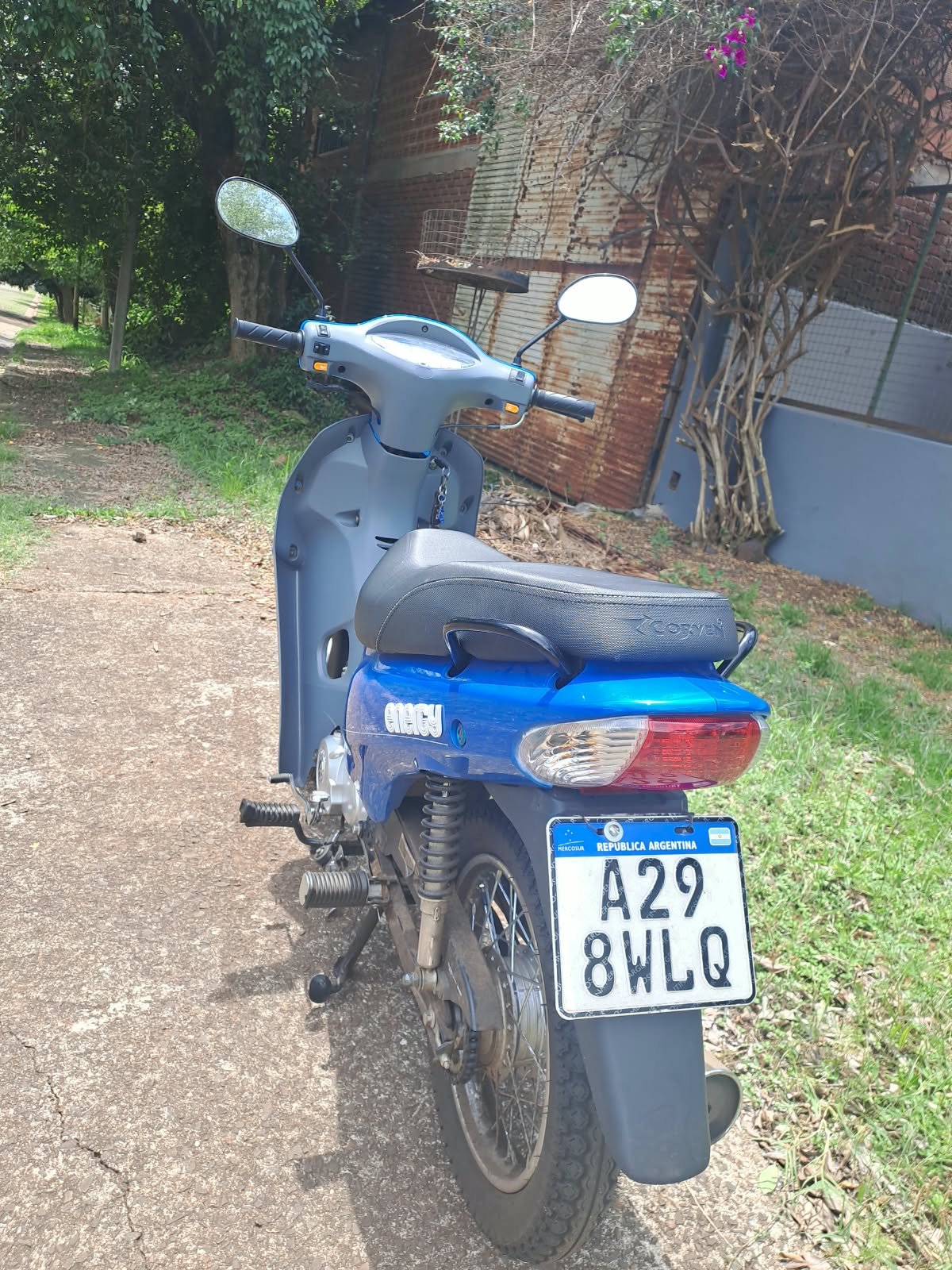 Foto 2